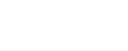 WheelShine - logo
